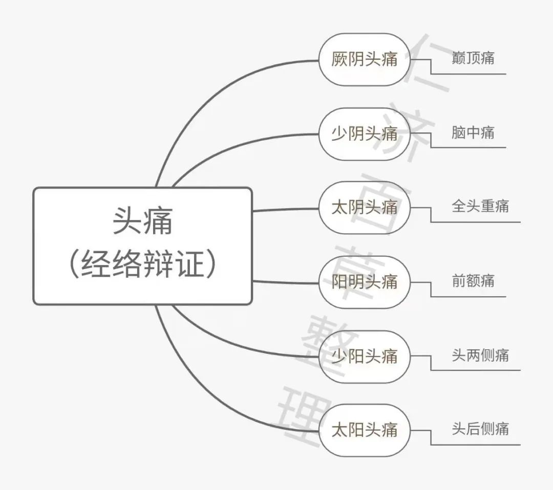 熬不过的头痛丨妙手披云雾，慧眼睹青天