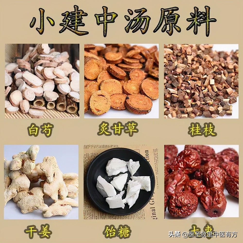 脾胃调百病消，中药名方小建中汤，缓解疲劳，增强食欲，赶走疼痛