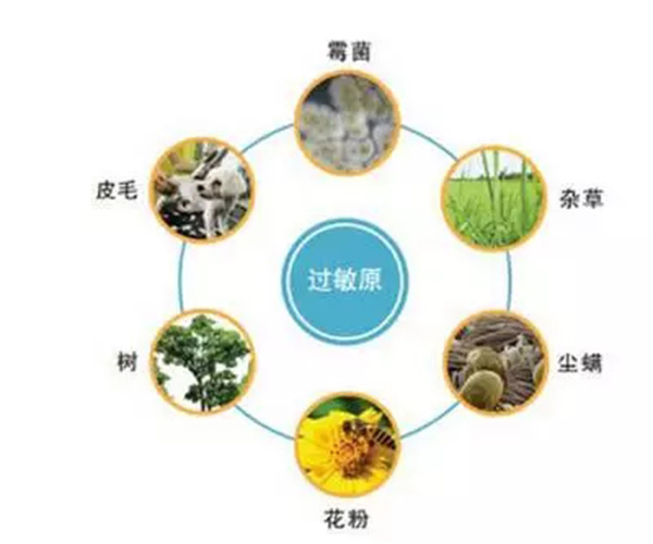 熊麻疹治疗的偏方_慢性荨麻疹的偏方_慢性寒冷性荨麻疹偏方