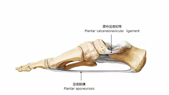 跟骨骨刺怎么办？