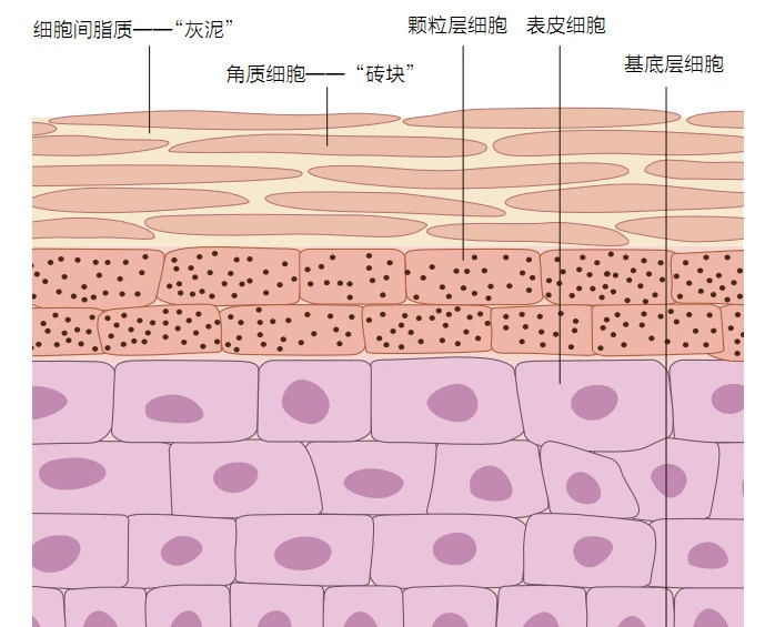 冷空气过敏咳嗽偏方_螨虫过敏偏方_皮肤过敏偏方