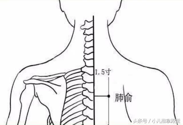 有什么偏方治咳嗽效果快的_治气管炎和咳嗽的偏方_治小孩风热咳嗽偏方