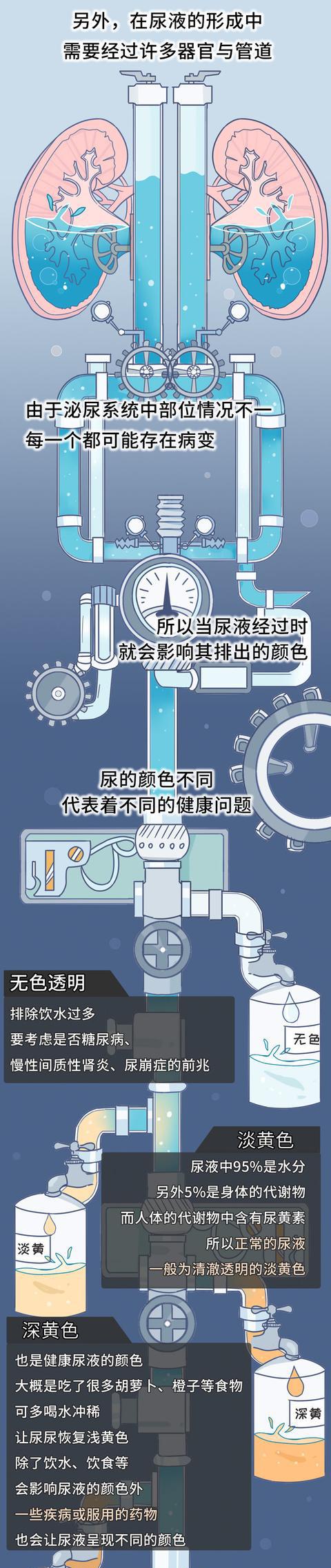 中医秋冬养生小知识_冬季养生膳食小食谱止咳化痰偏方_中医养生小偏方