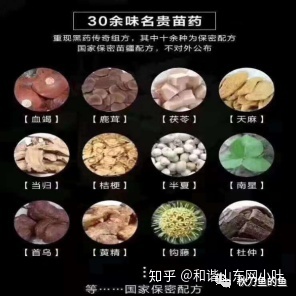 苗药绝世秘方_苗医秘方酒_神效绝世秘方治病