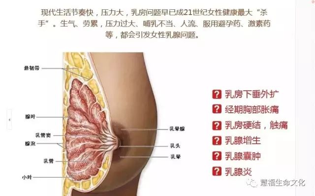 乳腺结节民间治疗偏方_乳腺纤维腺瘤恶性能治疗好吗_乳腺纤维瘤治疗偏方