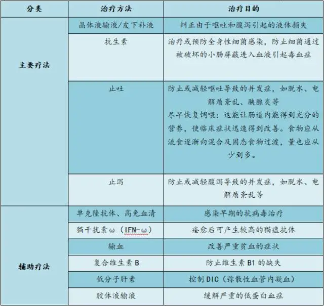 扁平疣大蒜偏方_大蒜扁平疣_大蒜可治扁平疣