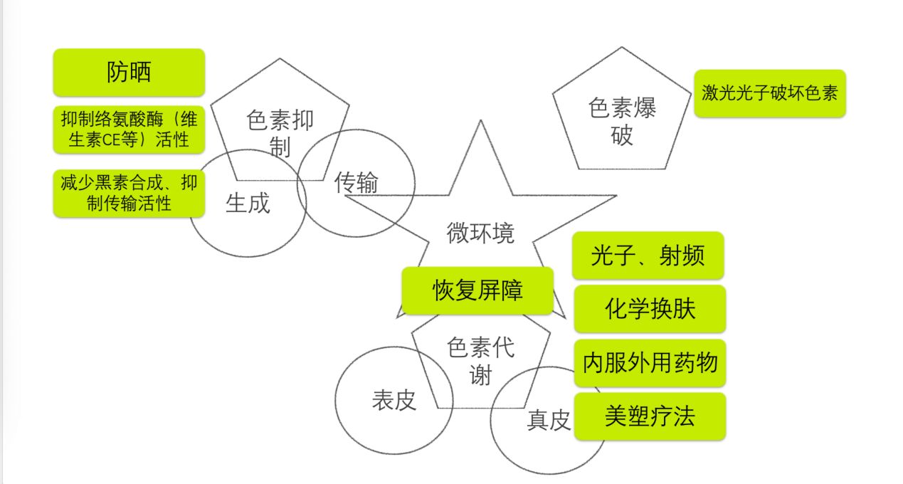 淡化色斑_怎么样淡化色斑_淡化色斑的偏方