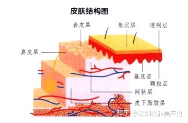 美白收缩毛孔的中药配方_中药祛痘美白配方_中药面膜 收缩 毛孔