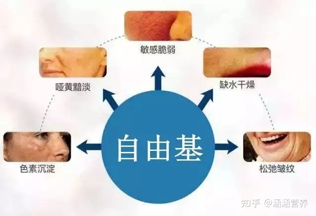 内分泌失调偏方大全_脑垂体分泌失调_荷尔蒙分泌失调长痘