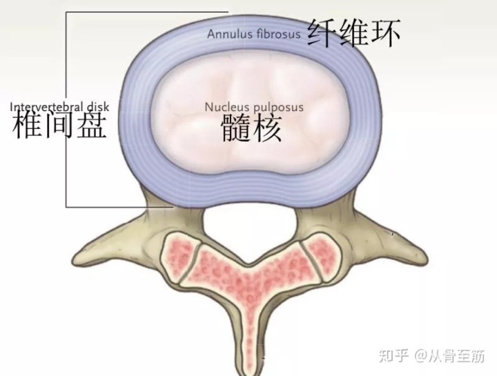 腰椎骨质略增生保密配方_增生性贫血好治吗_天下一绝治骨质增生