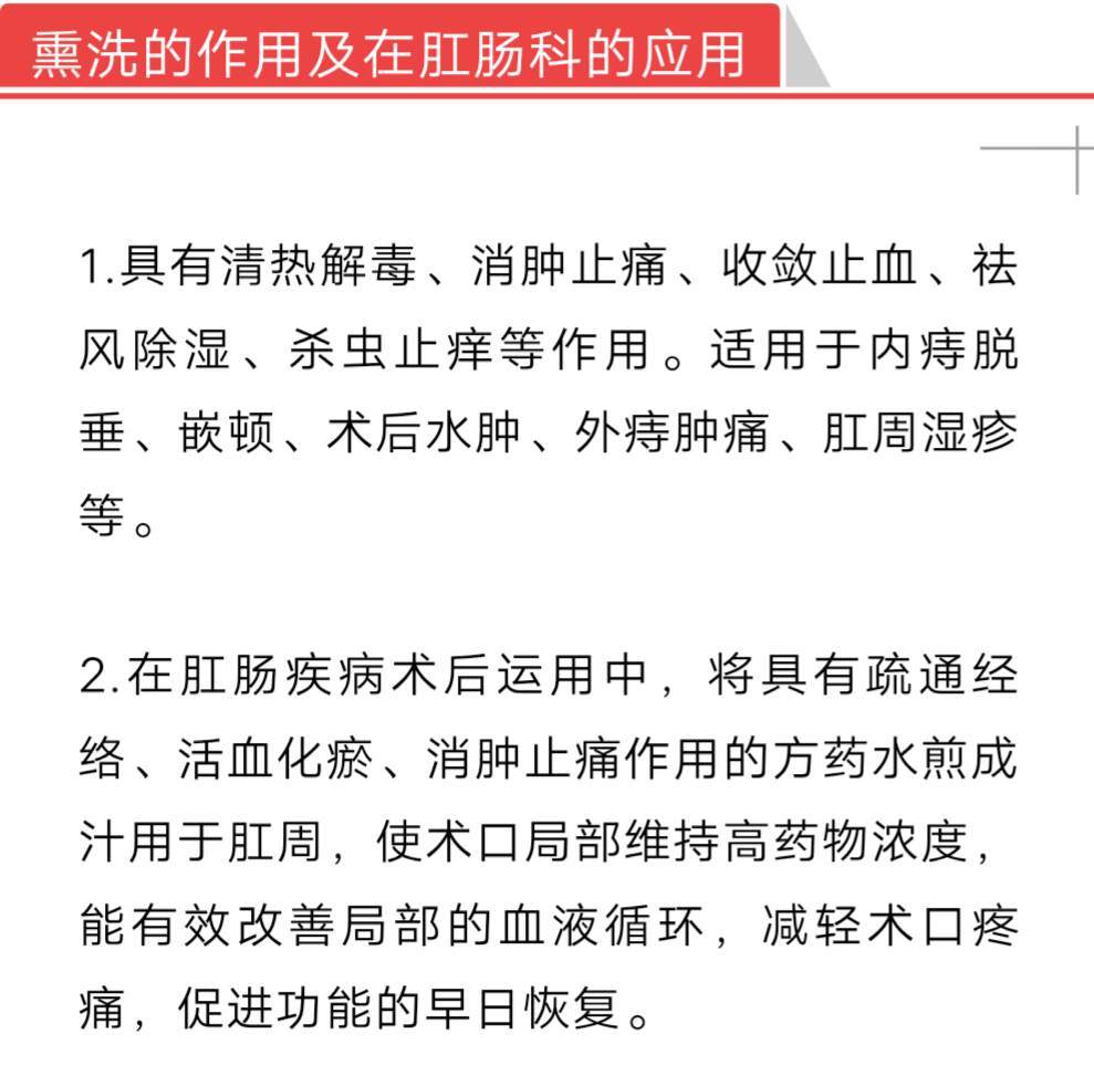 节节草正确治痔疮方案图片