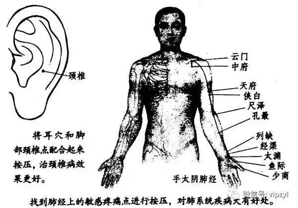 治阳萎早泄怎样知有效果_治早泄手法大全_同仁堂治阳萎早泄的药