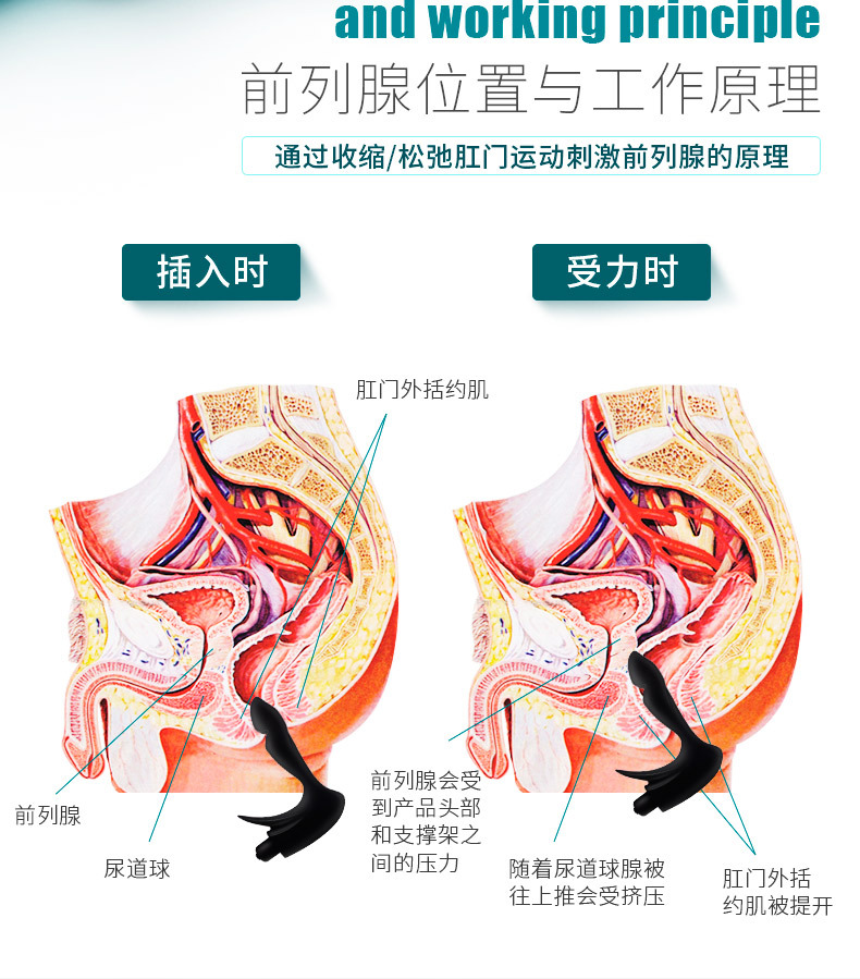 韭菜子怎么吃治早泄_中药治早泄延时药剂大全_治早泄手法大全