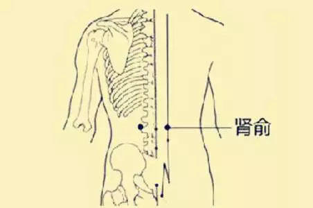 皇帝御医补肾秘方_李时珍补肾秘方简历_补肾秘方