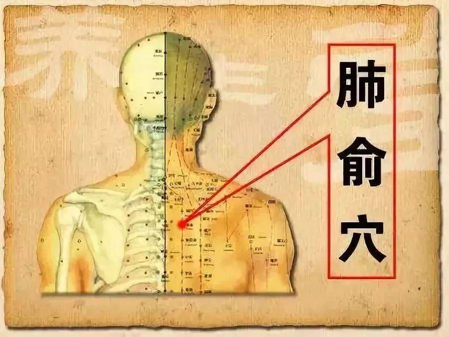 心慌气短胸闷失眠是怎么回事_胸闷气短手指出汗验方_有时心慌气短胸闷怎么回事