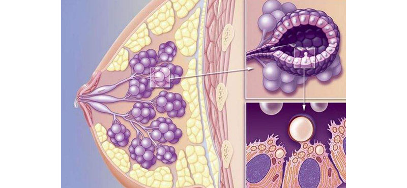 彻底根治乳腺结节偏方_彻底根治牙周病偏方_彻底根治灰指甲的偏方