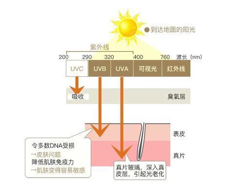 脸部皮肤过敏偏方_皮肤脸部过敏怎么办_脸部过敏发红怎么办