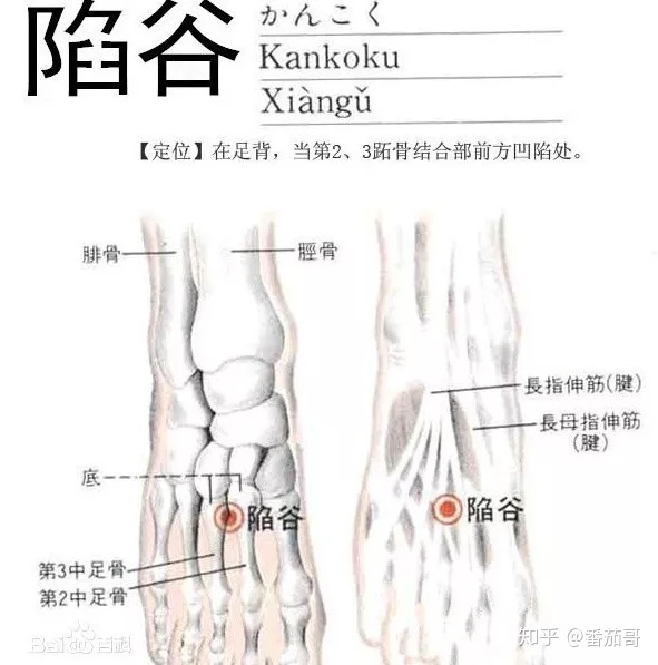 治痛经的偏方_桑螵蛸偏方治咽炎的偏方_治癣偏方百治百灵