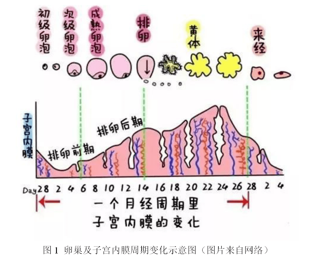 治疗痛经的偏方_体内寒气重怎么办痛经偏方_胡兵偏方工作室治疗支气管炎偏方