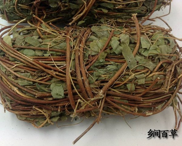 一药解千毒秘方_解农药药害的最好药_相爱药功秘方