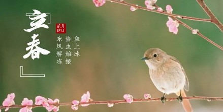 2022立春节气寓意是什么