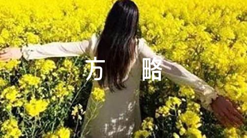 班主任带班育人方略范文(通用13篇)