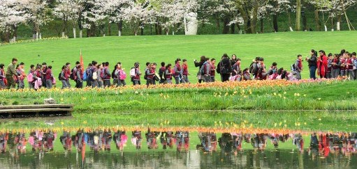 写春游相关的小学生真实作文