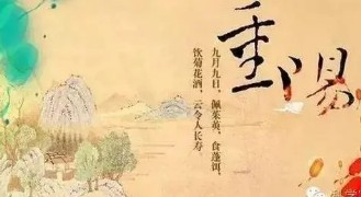 重阳节作文集合三篇