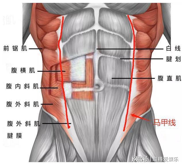 减肚子秘方_减肚子民间偏方_减肚子经方