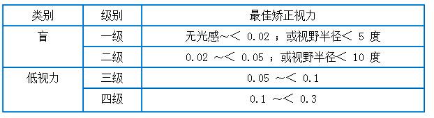 现在我国视力残疾分几级