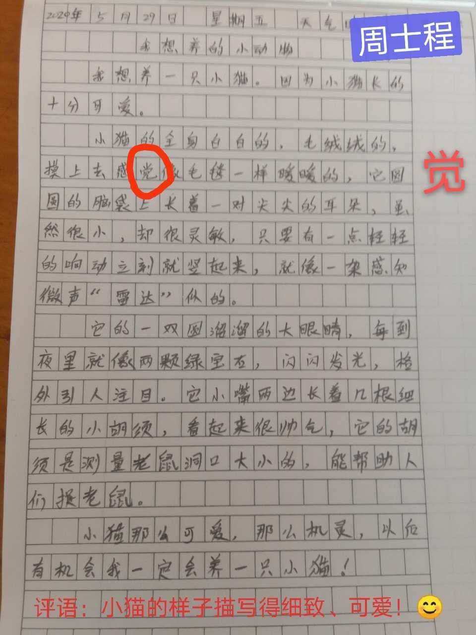 正能量作文_生活需要正能量作文_关于正能量作文