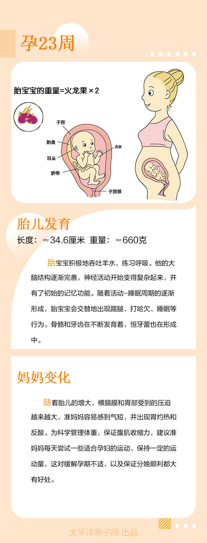 怀孕7个月胎儿大小_怀孕50天胎儿大小_怀孕胎儿大小对照表