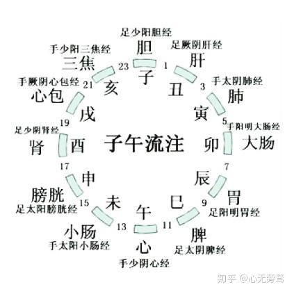 腰椎肩盘突出怎么治疗_腰椎间盘突出症的治疗偏方_虎杖治疗腰椎突出症做法