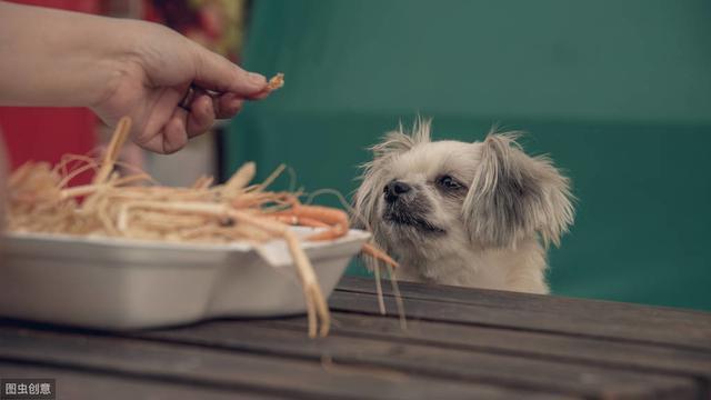 杂交狗狗图片_杂交狗是不是土狗_杂交狗