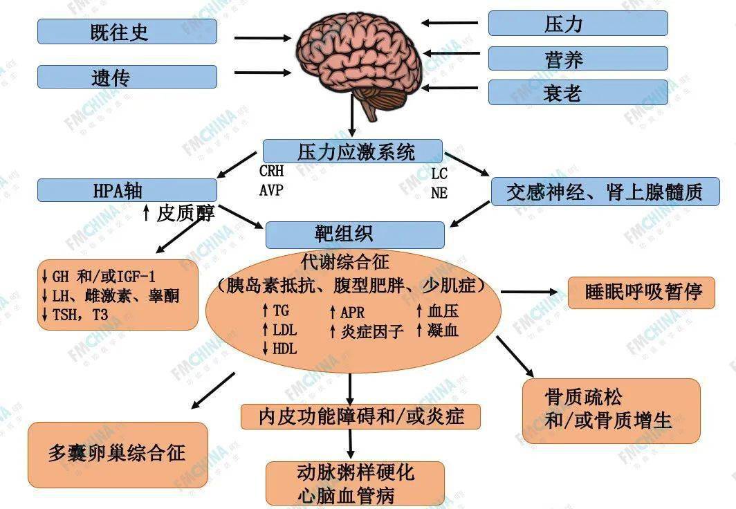 焦虑症_淮南三症和小四风哪三症?哪小四风?_焦虑躯体症需要吃药吗