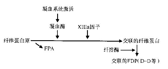 肺梗塞 手术_全国治疗肺梗塞医院排名?_肺梗塞治疗