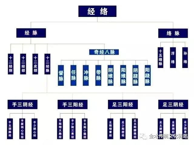 面部经络9条经络走向图_腿部经络6条经络的位置_经络