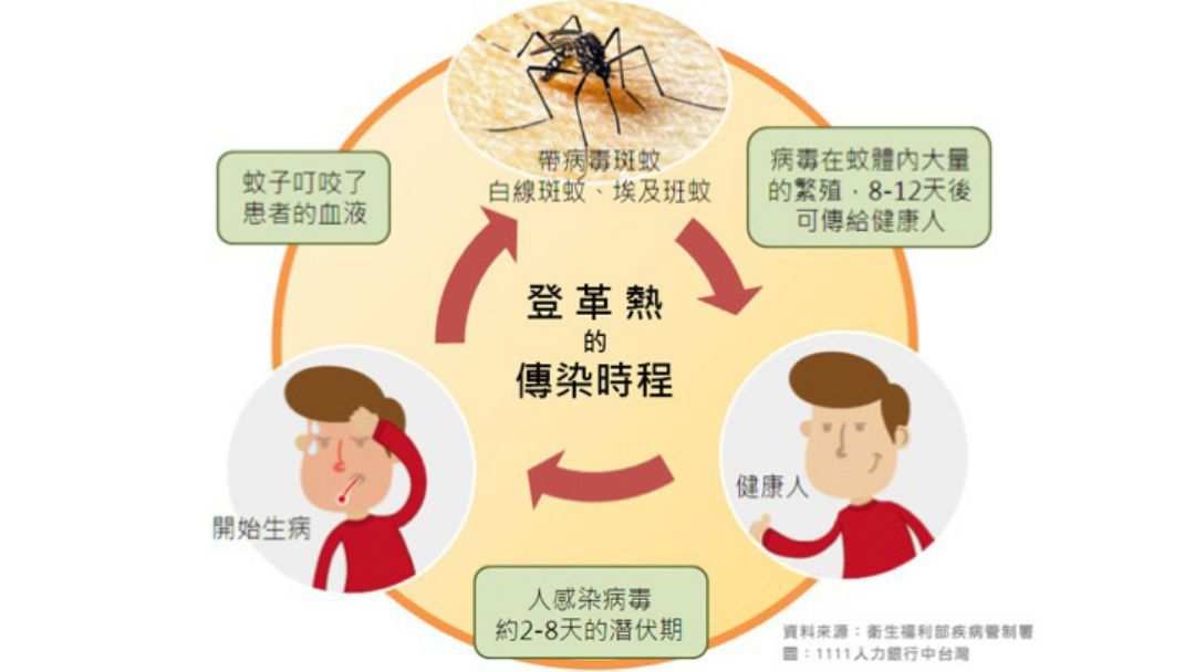 登革热_登革热诊断标准_37人染登革热