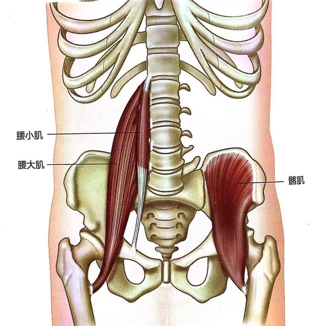 祖传的腰肌劳损特效秘方_腰肌劳损的秘方验方_腰肌治疗腰肌劳损视频