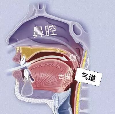 花椒水能治打呼噜吗_蒜花椒酸醋水能治好脚气吗_花椒生姜水能洗头吗