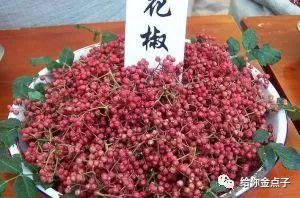 花椒水能治打呼噜吗_花椒治痔疮_花椒水能延时吗