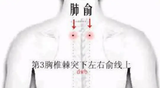 全身保健是什么服务_全身保健_全身保健推拿手法讲解