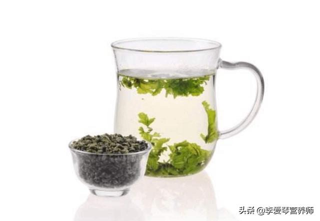 栽植苦丁茶树价格_苦丁_苦丁茶