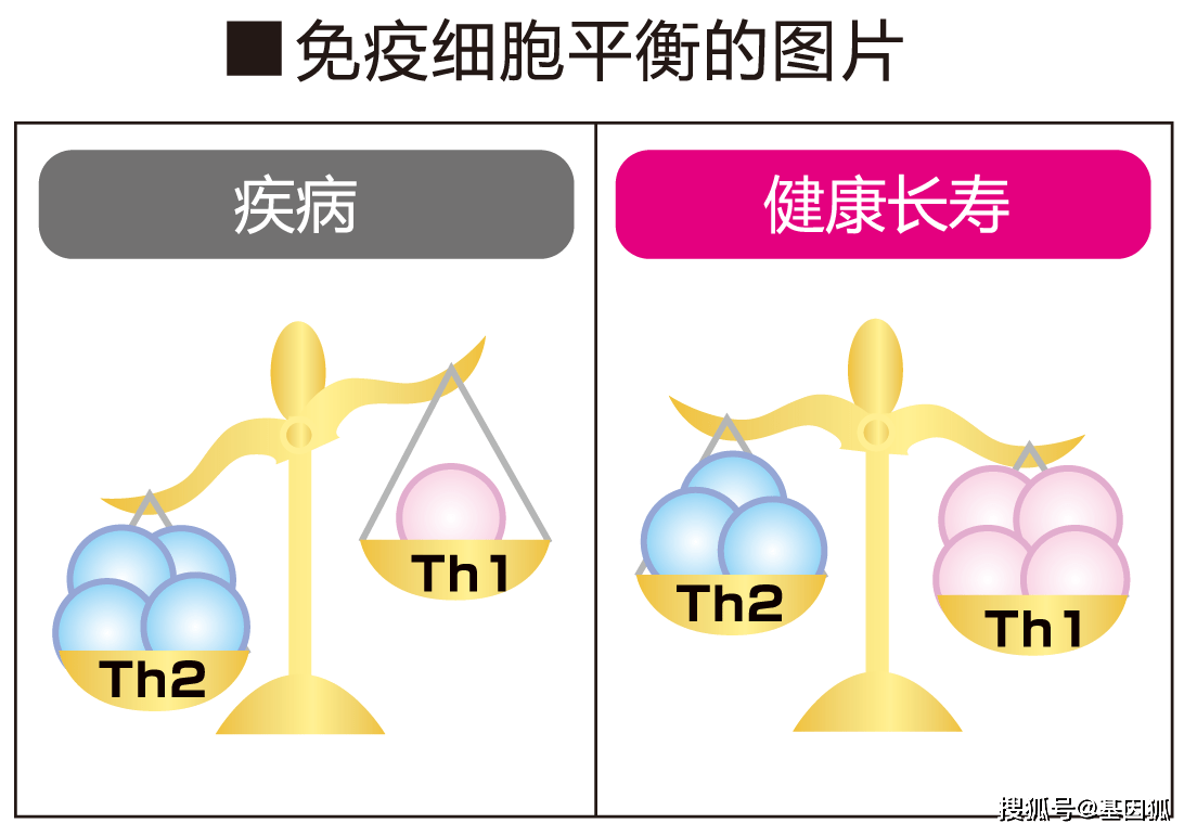 抵抗!抵抗_抵抗抵抗 电影_抵抗力