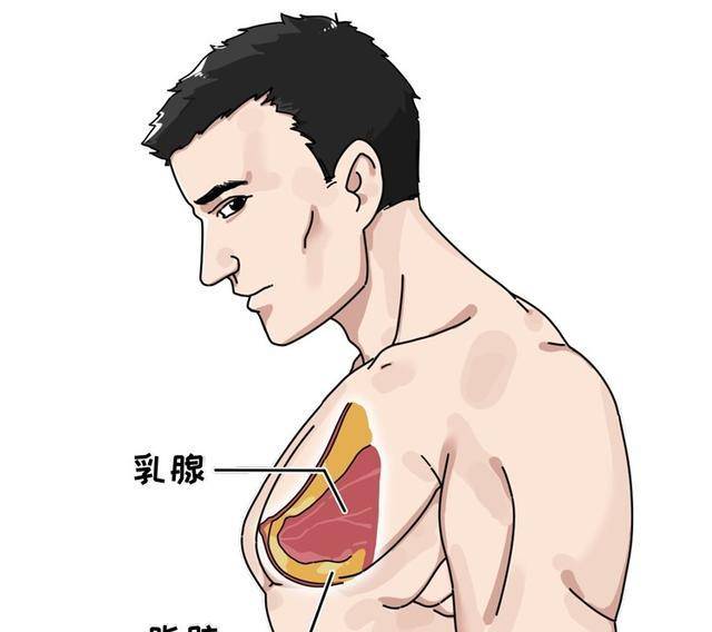 治疗乳腺炎的偏方_sitebaojian.91jm.com 乳腺贴能治疗乳腺_老年阴炎中医治疗偏方