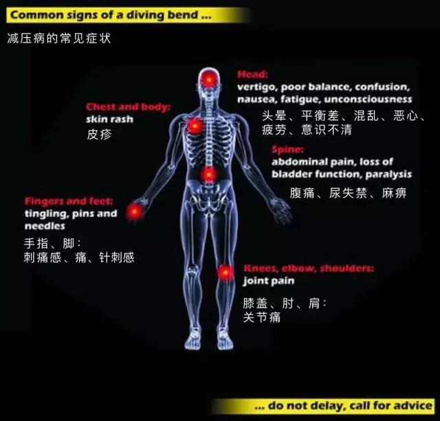 中医基础理论