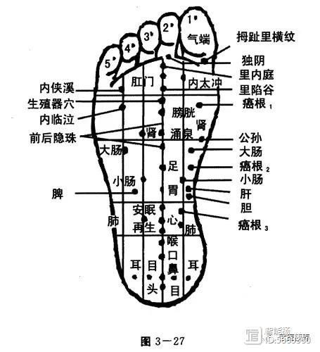 _针炙治疗失眠视频_失眠针灸医案