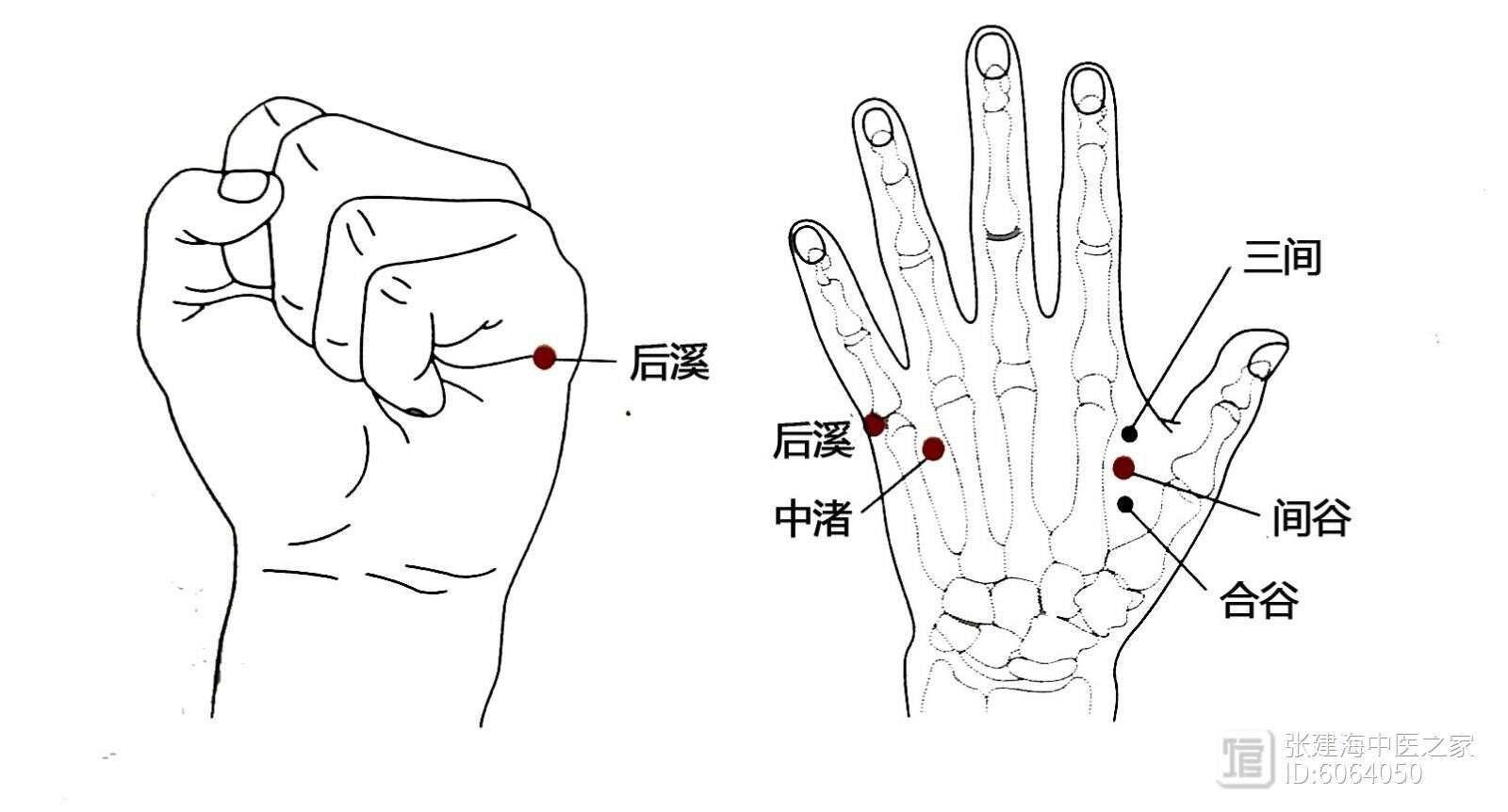 靶向探针的劣势__靶向探针