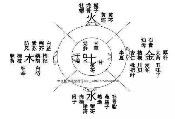 圆运动示意图说中医__《圆运动古中医》